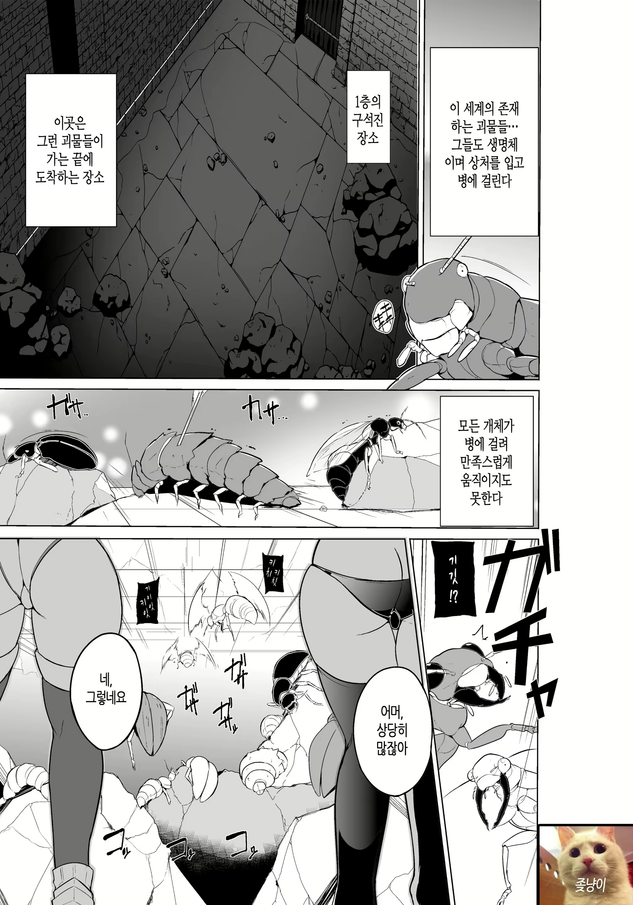 Content 1188921 - 1 페이지