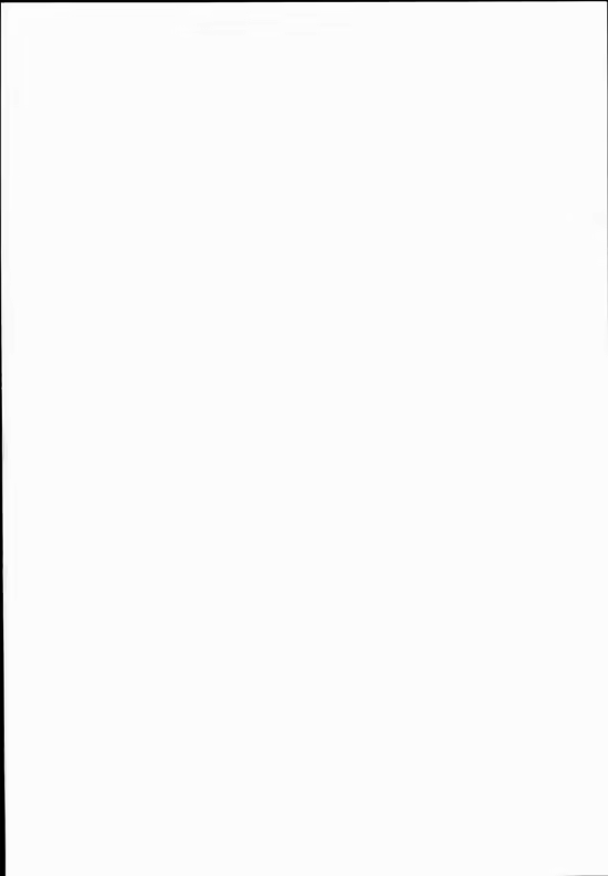 Content 1191964 - 213 페이지
