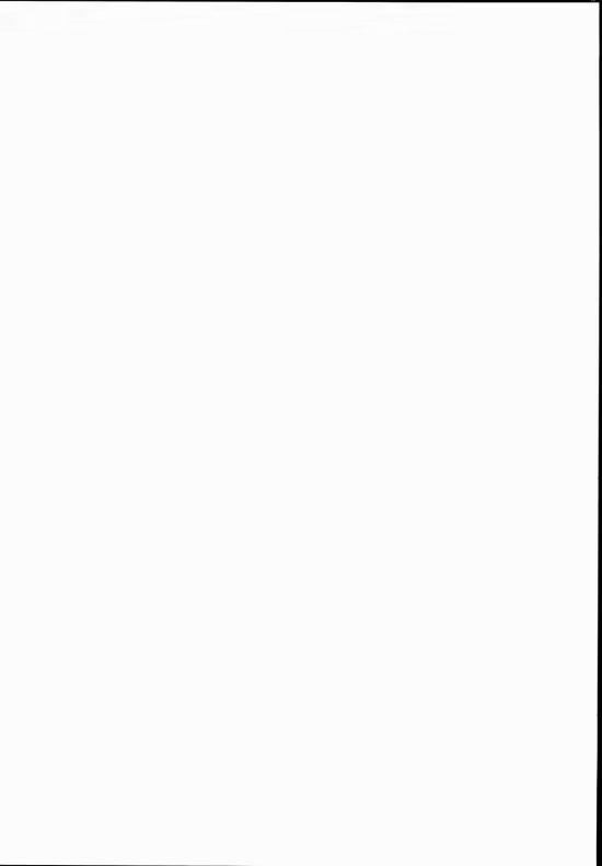 Content 1191964 - 248 페이지