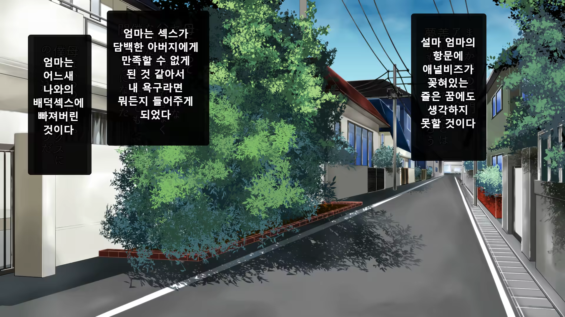 Content 1193943 - 238 페이지