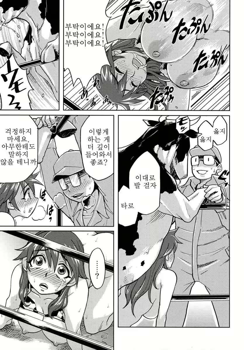 Content 1195275 - 11 페이지