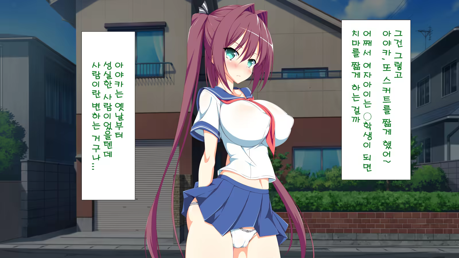 Content 1204251 - 52 페이지
