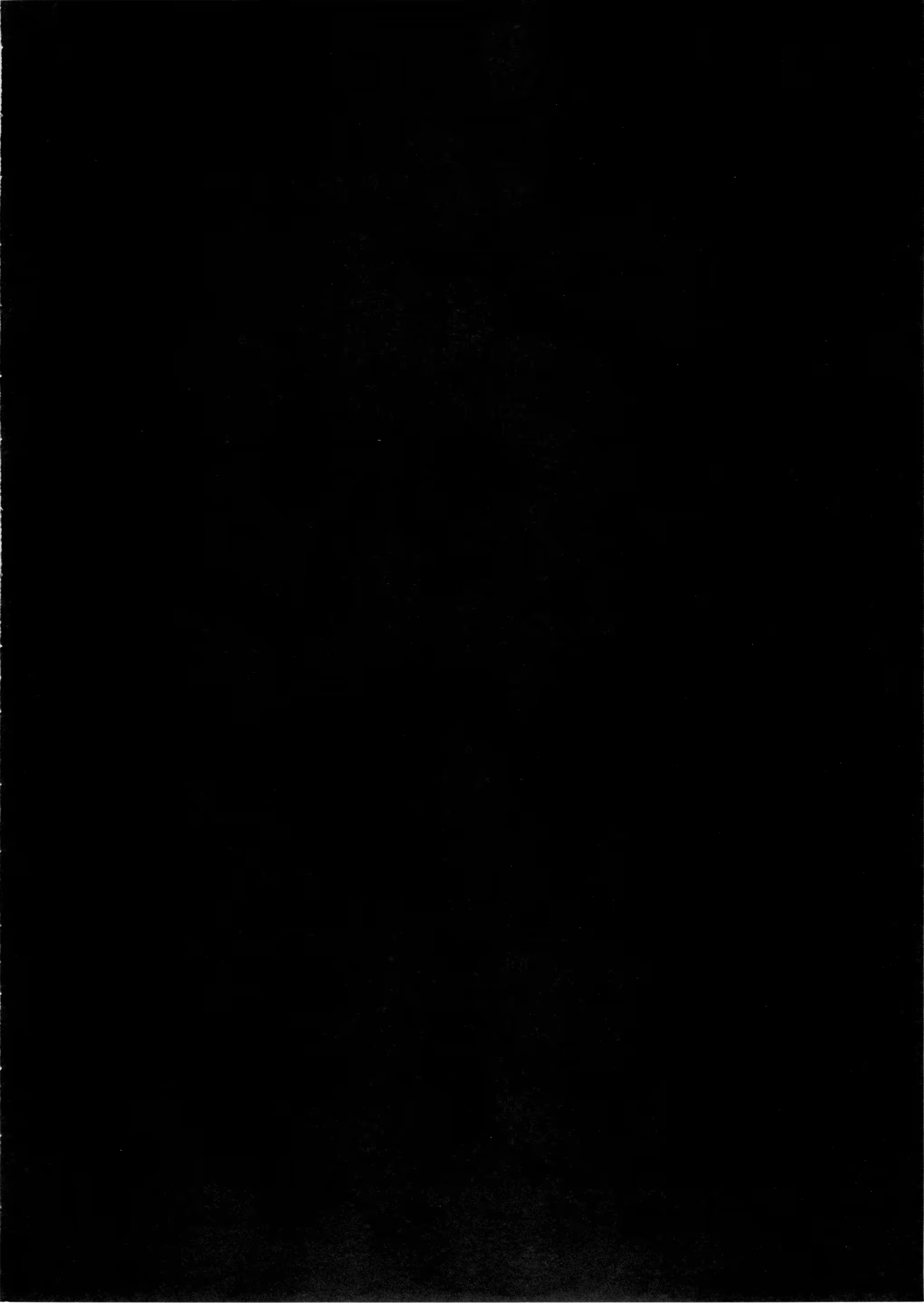 Content 1207030 - 24 페이지