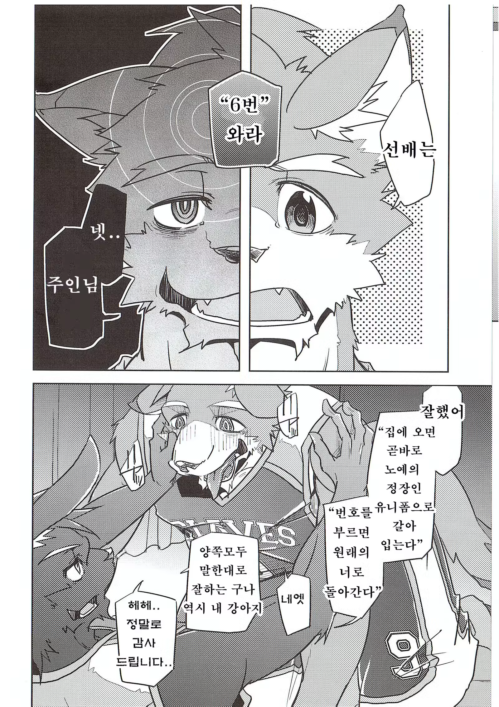 Content 1207400 - 7 페이지