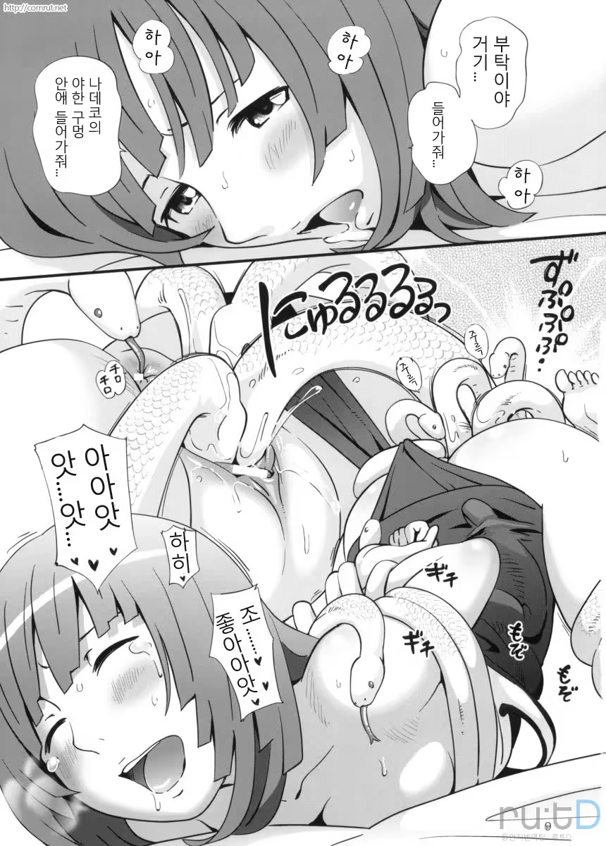 Content 1209852 - 10 페이지