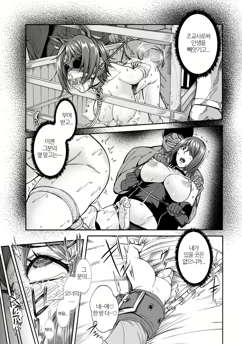Content 1212024 - 117 페이지