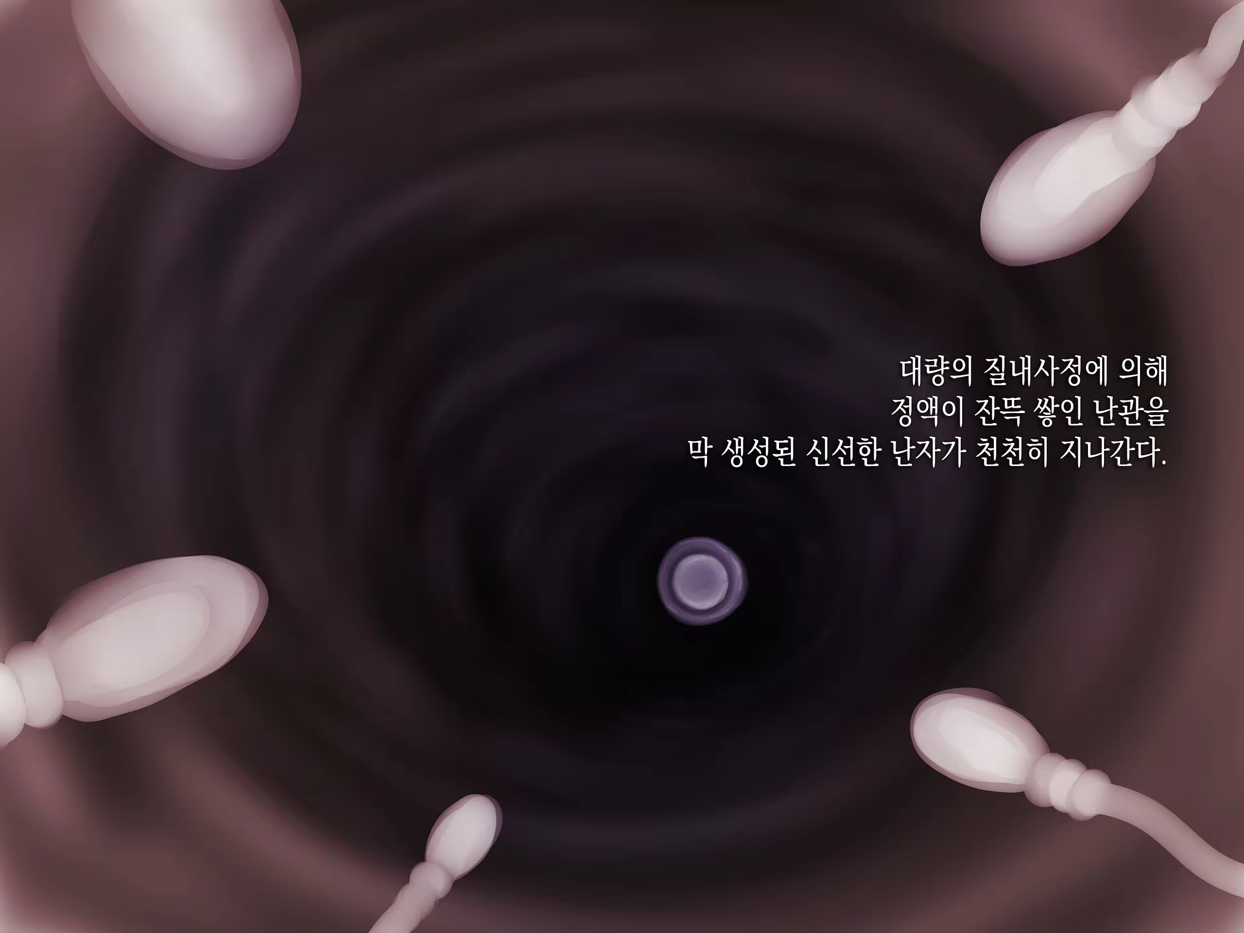 Content 1213106 - 203 페이지