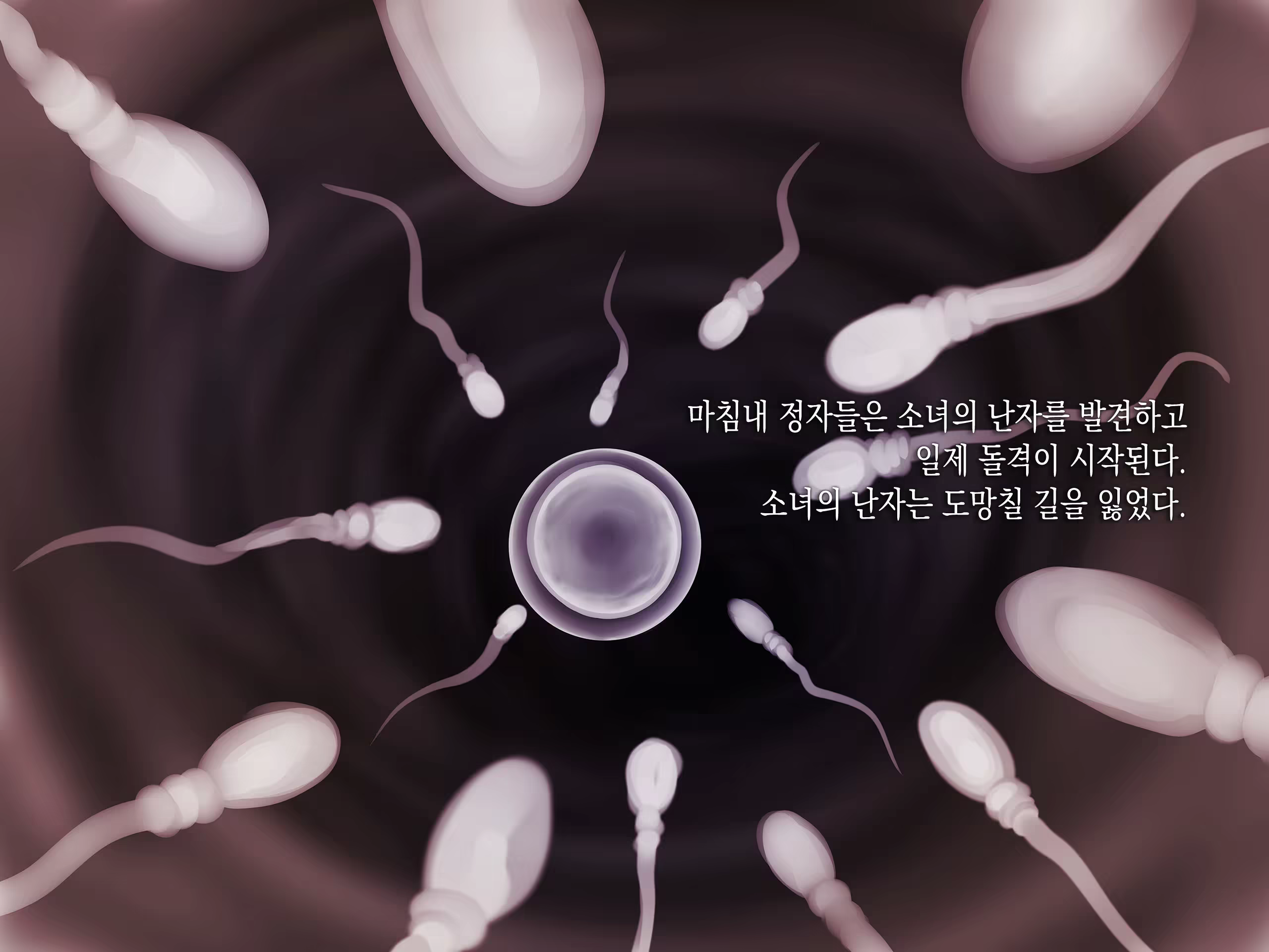 Content 1213106 - 204 페이지