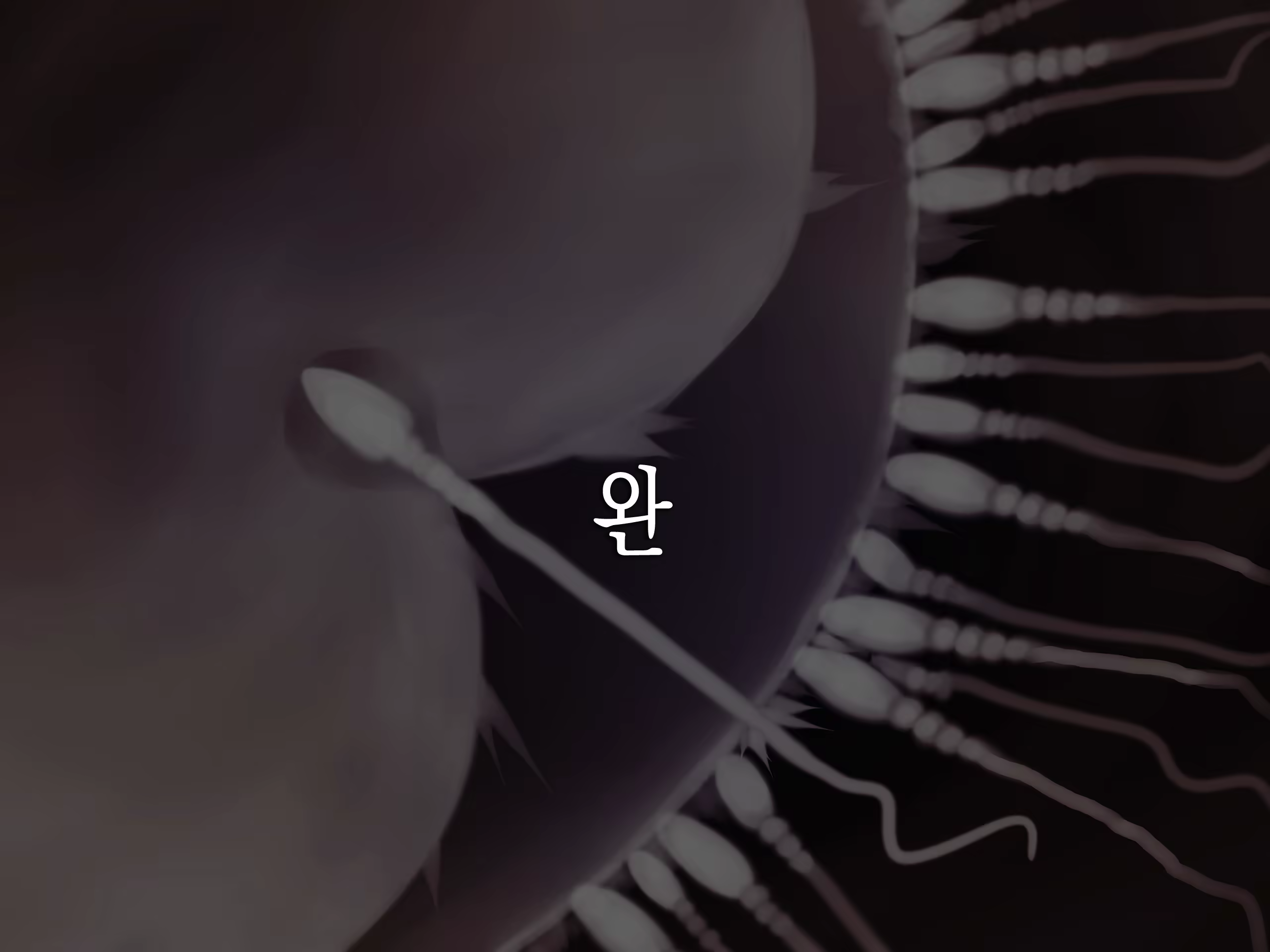 Content 1213106 - 208 페이지