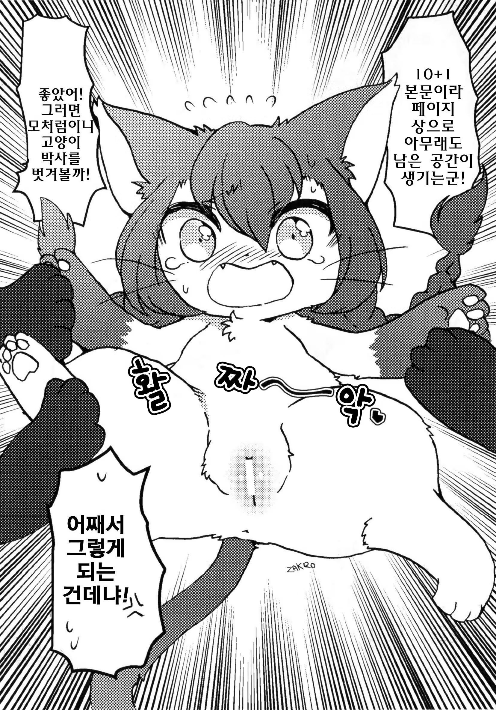 Content 1221353 - 13 페이지