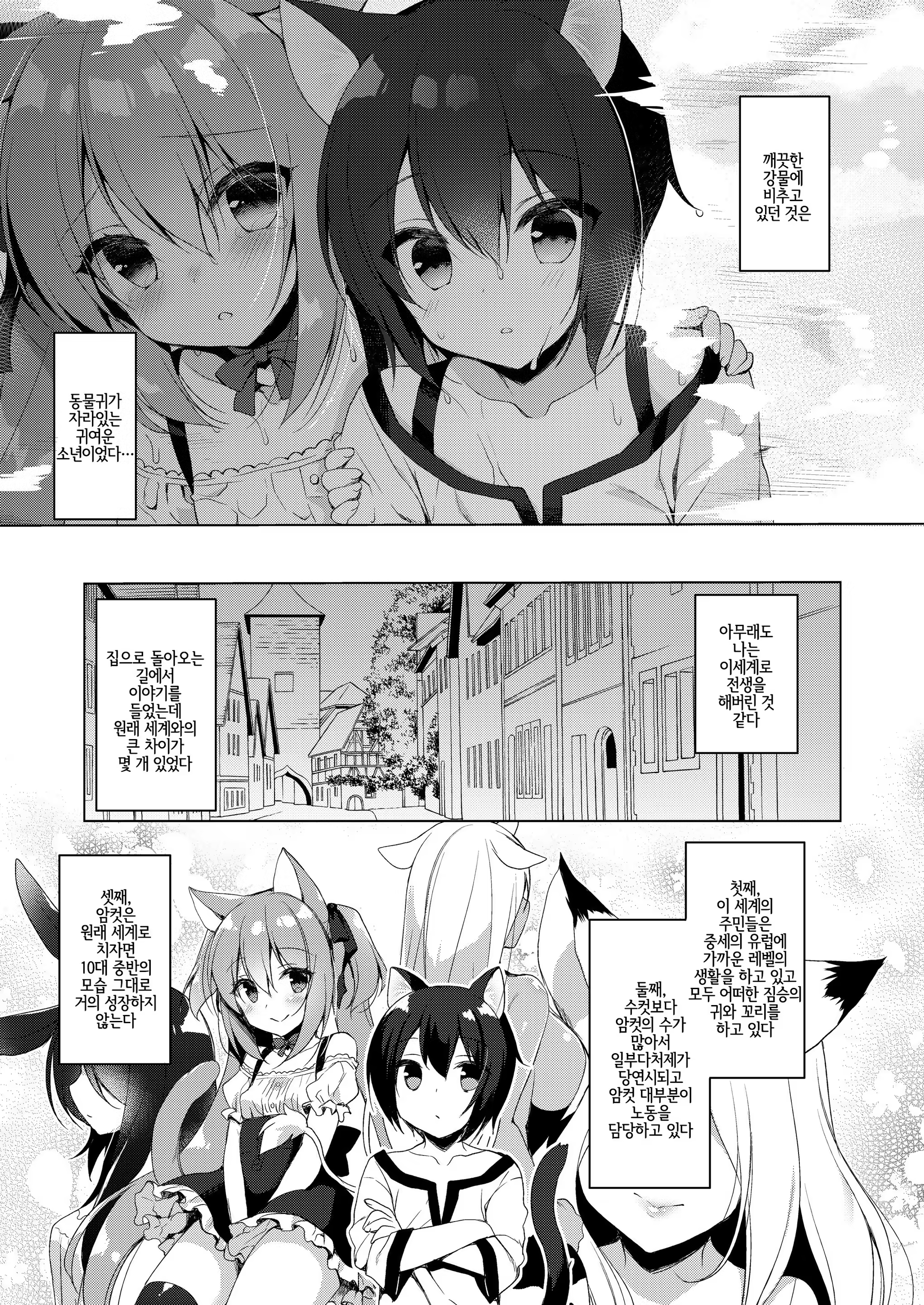 Content 1224111 - 5 페이지