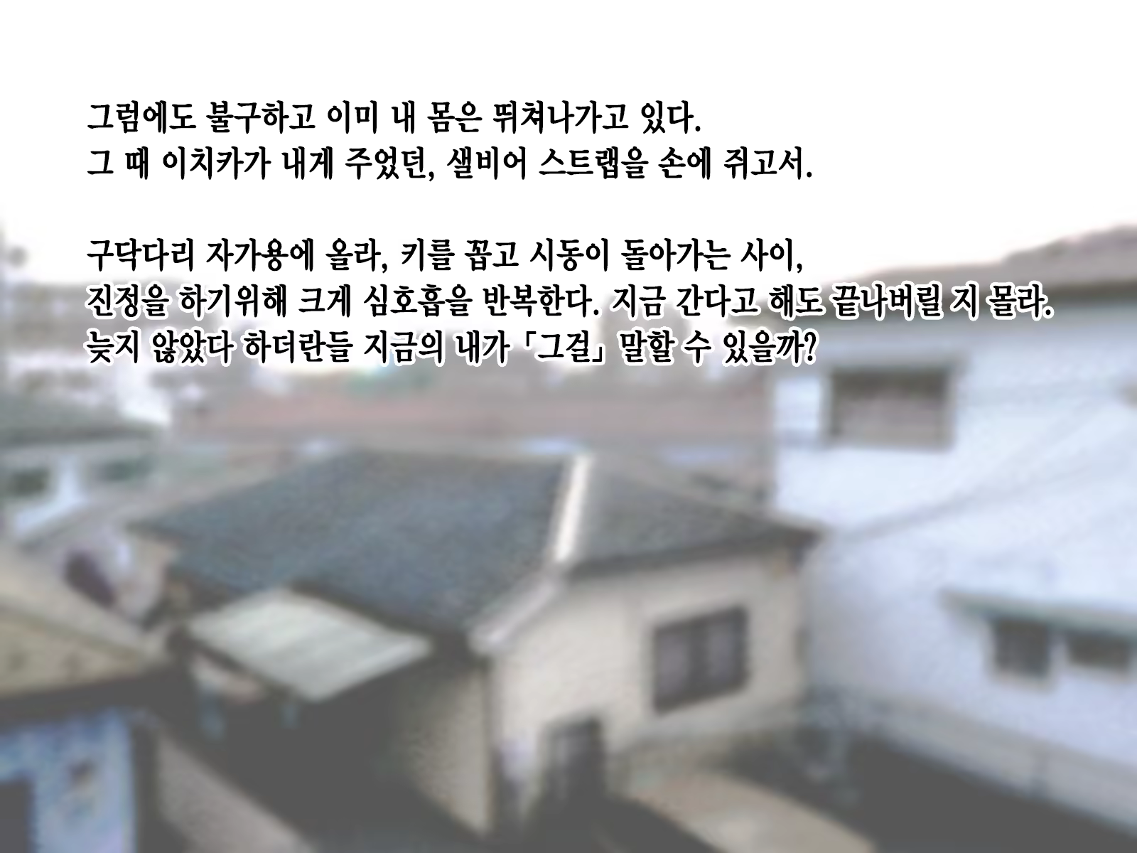 Content 1229339 - 241 페이지