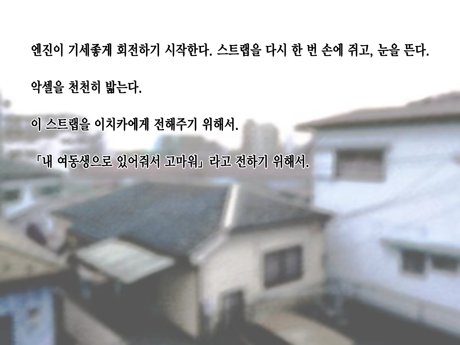 Content 1229339 - 242 페이지
