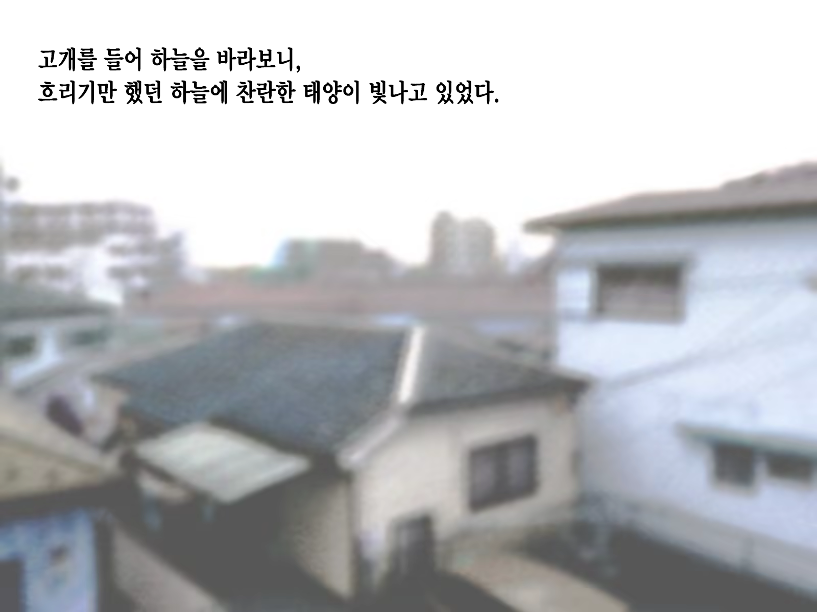 Content 1229339 - 243 페이지