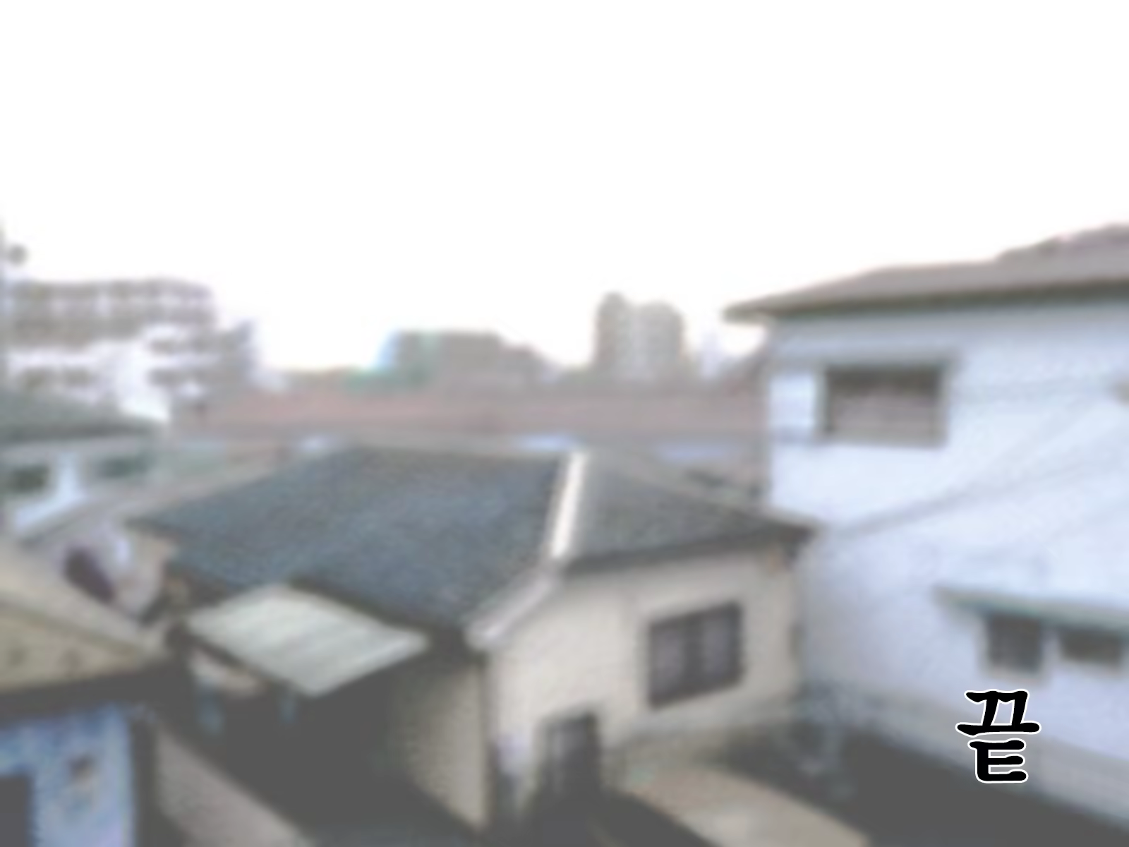 Content 1229339 - 244 페이지