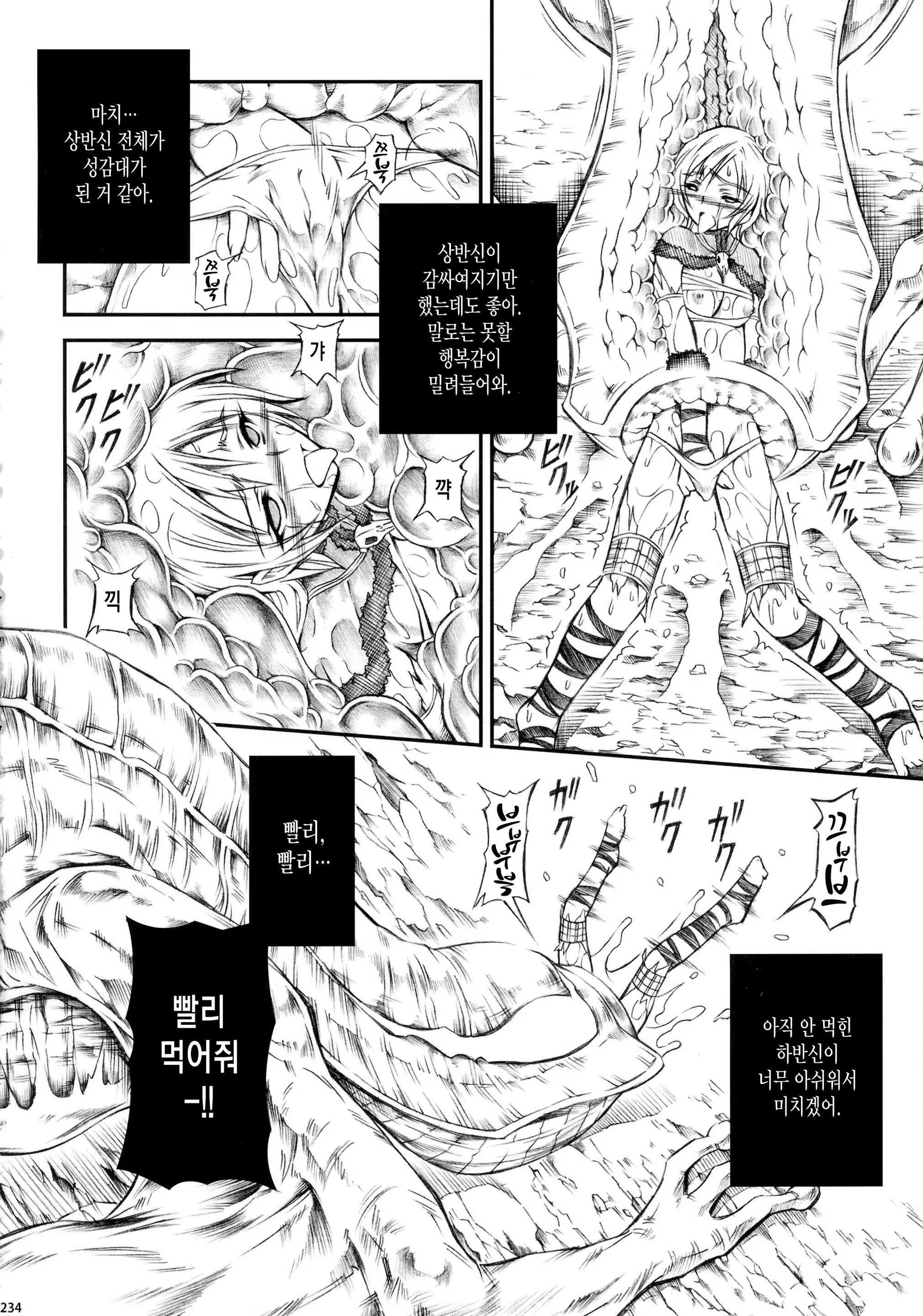 Content 1231757 - 234 페이지