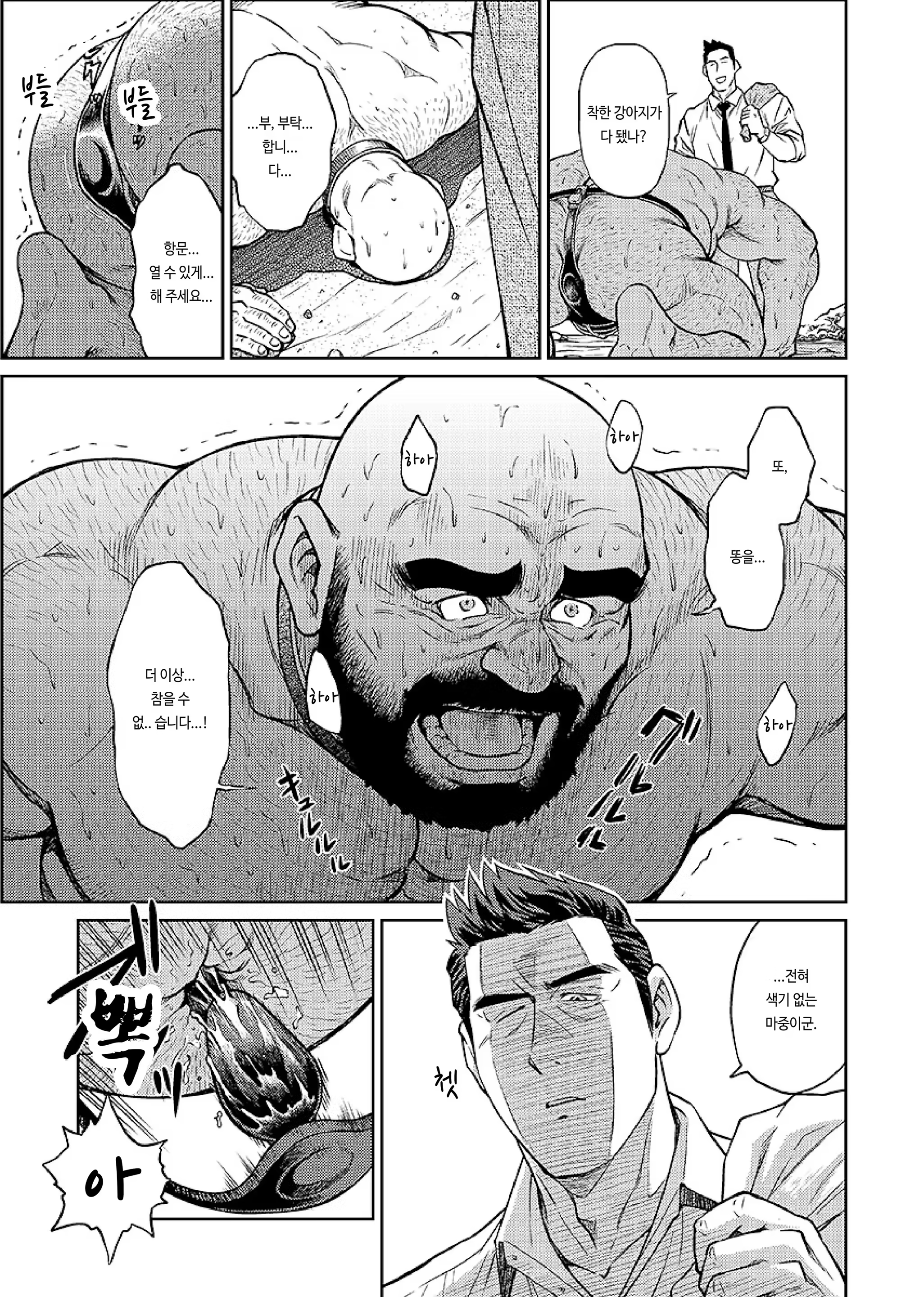 Content 1235463 - 12 페이지
