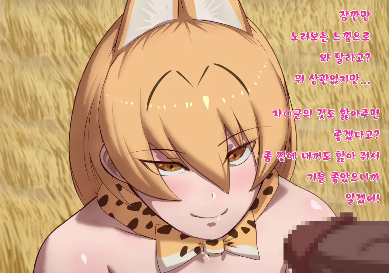 Content 1235582 - 14 페이지