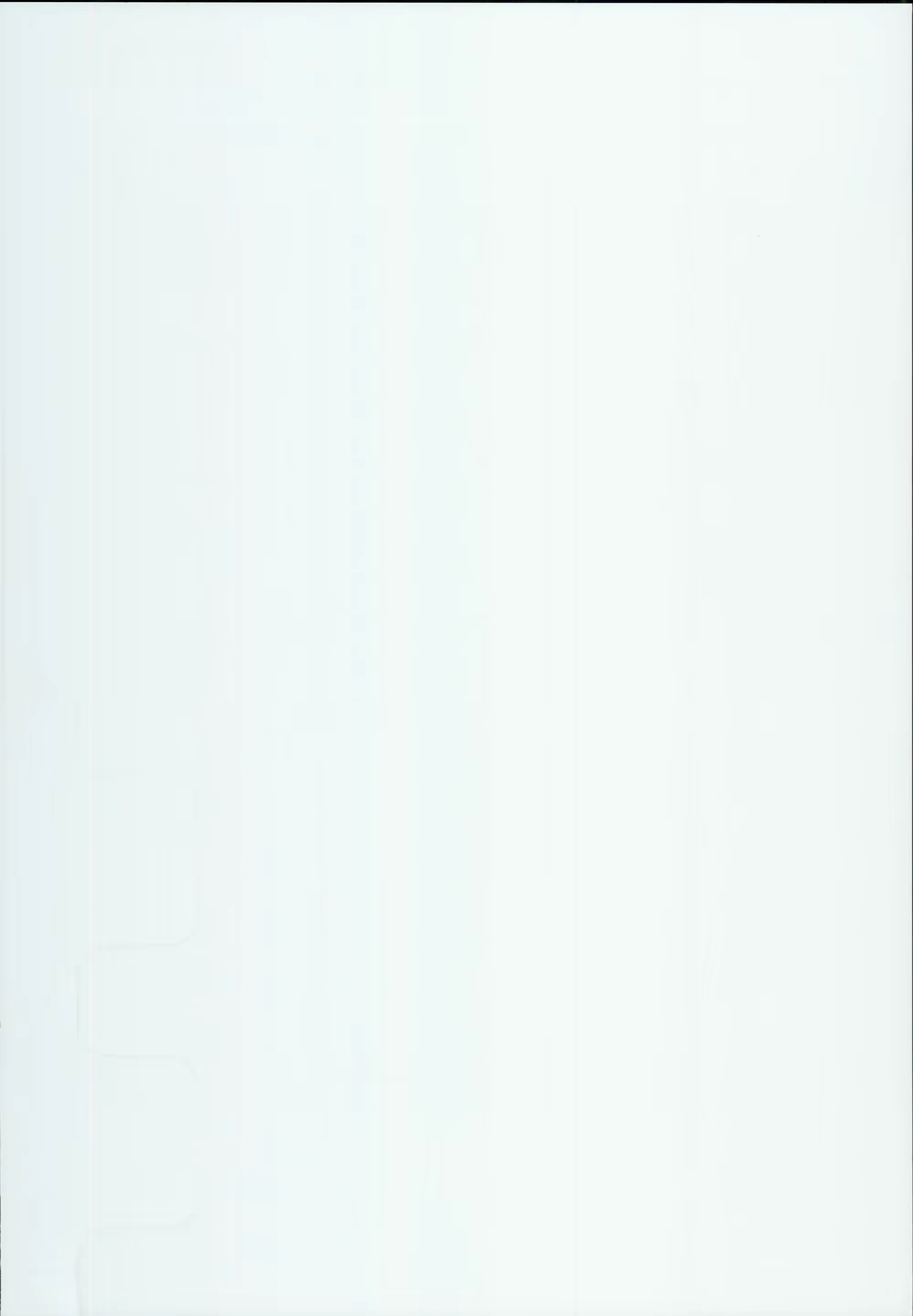 Content 1236848 - 2 페이지