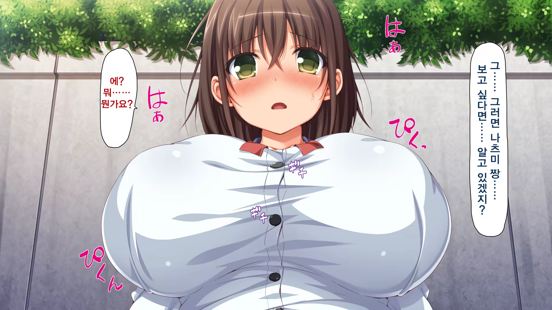 Content 1237000 - 358 페이지