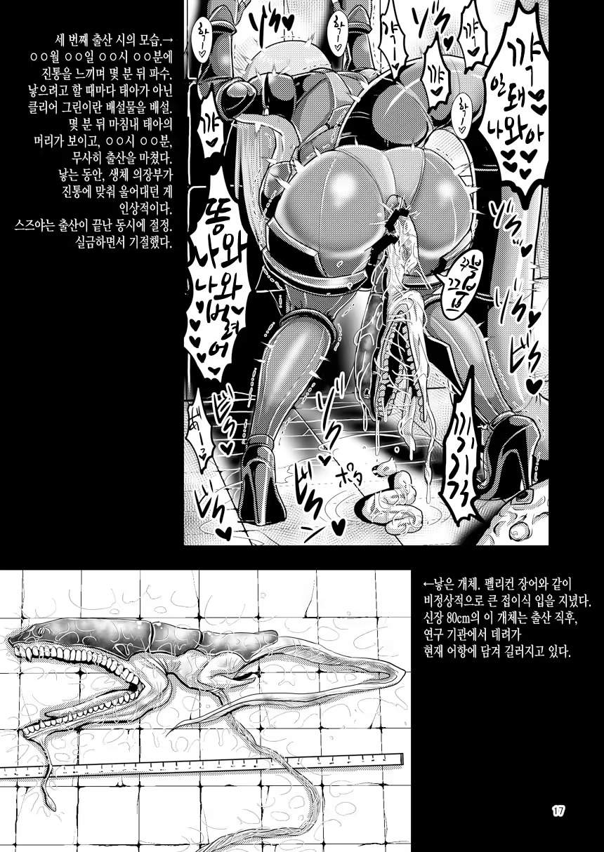 Content 1237542 - 16 페이지