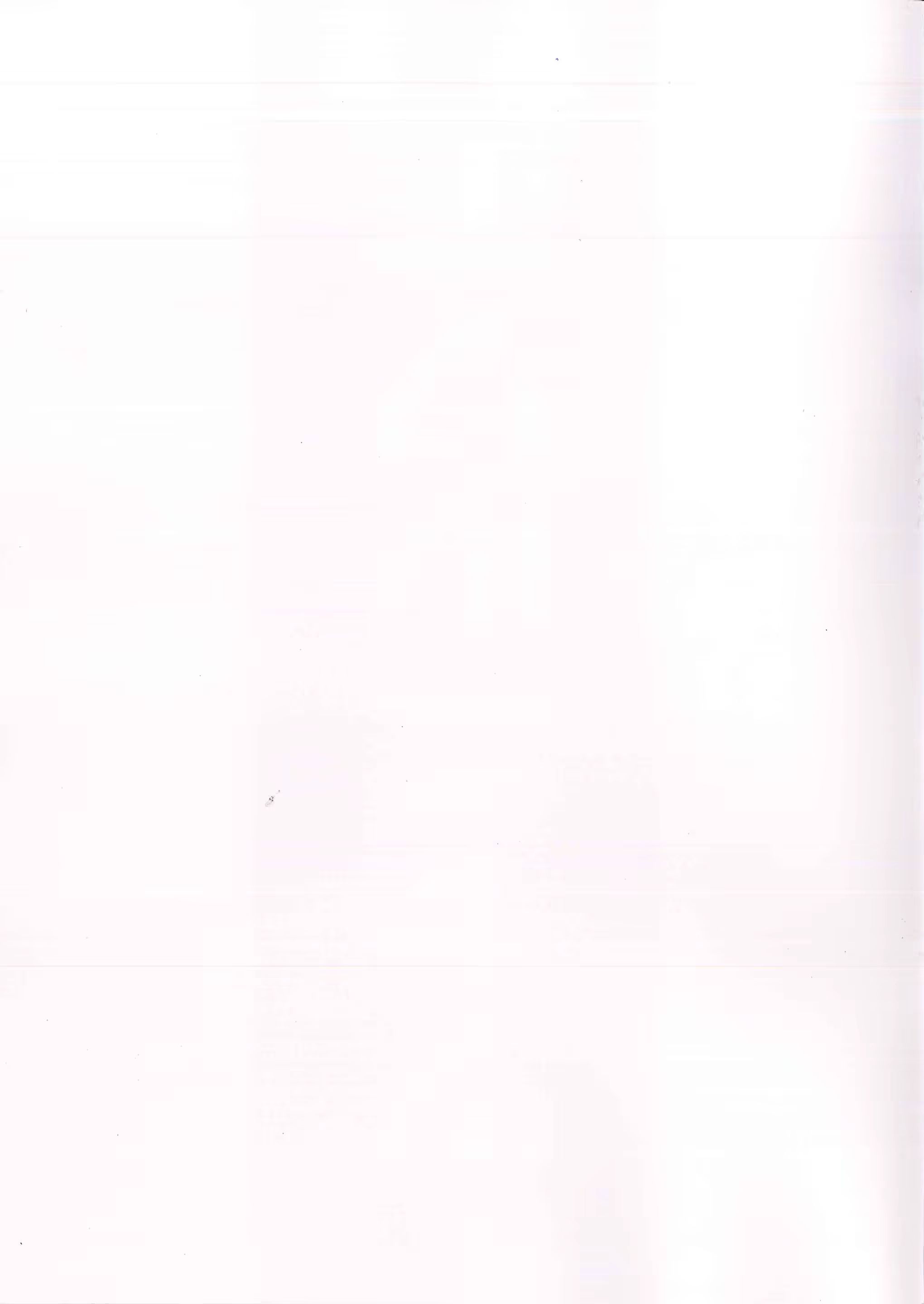 Content 1238828 - 15 페이지