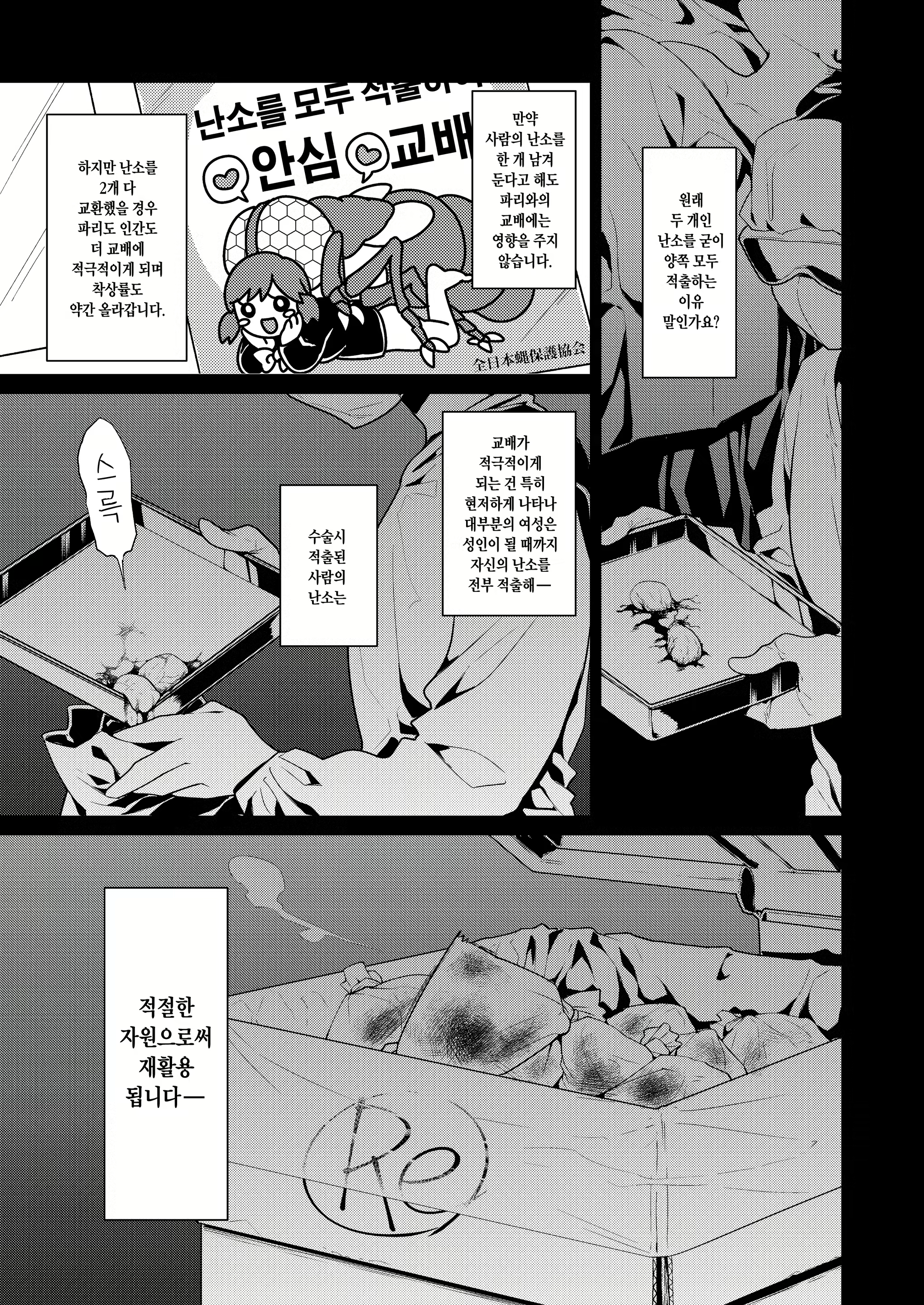 Content 1241306 - 9 페이지