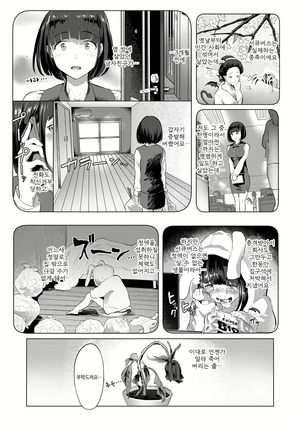 Content 1243154 - 5 페이지