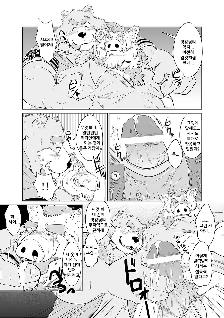 Content 1244415 - 11 페이지