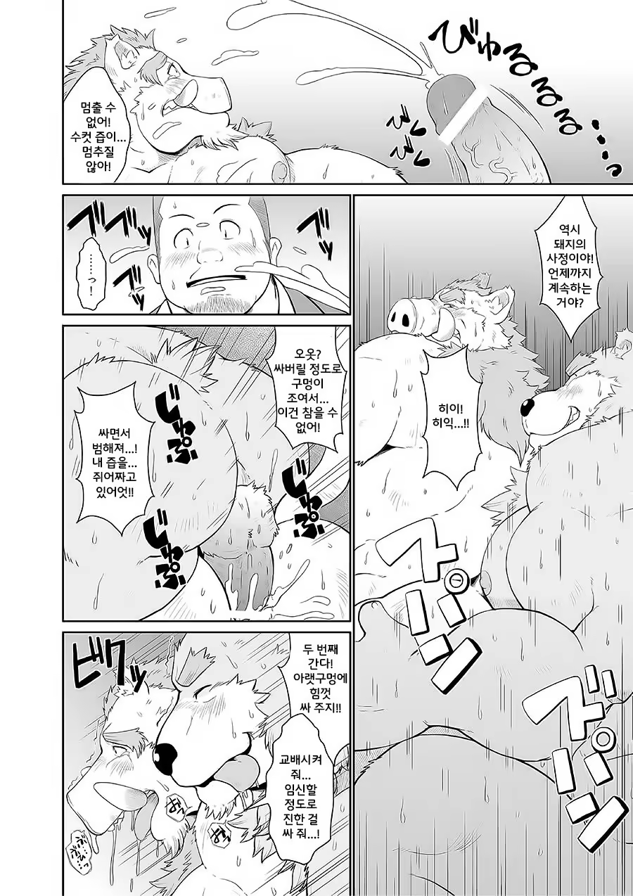 Content 1244415 - 16 페이지