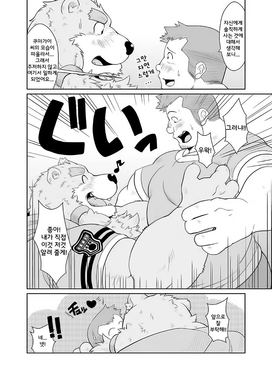 Content 1244415 - 32 페이지