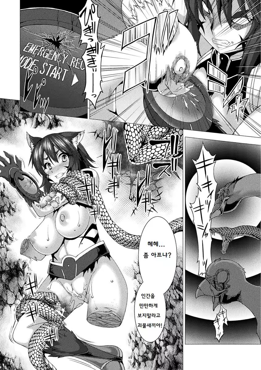 Content 1244886 - 14 페이지