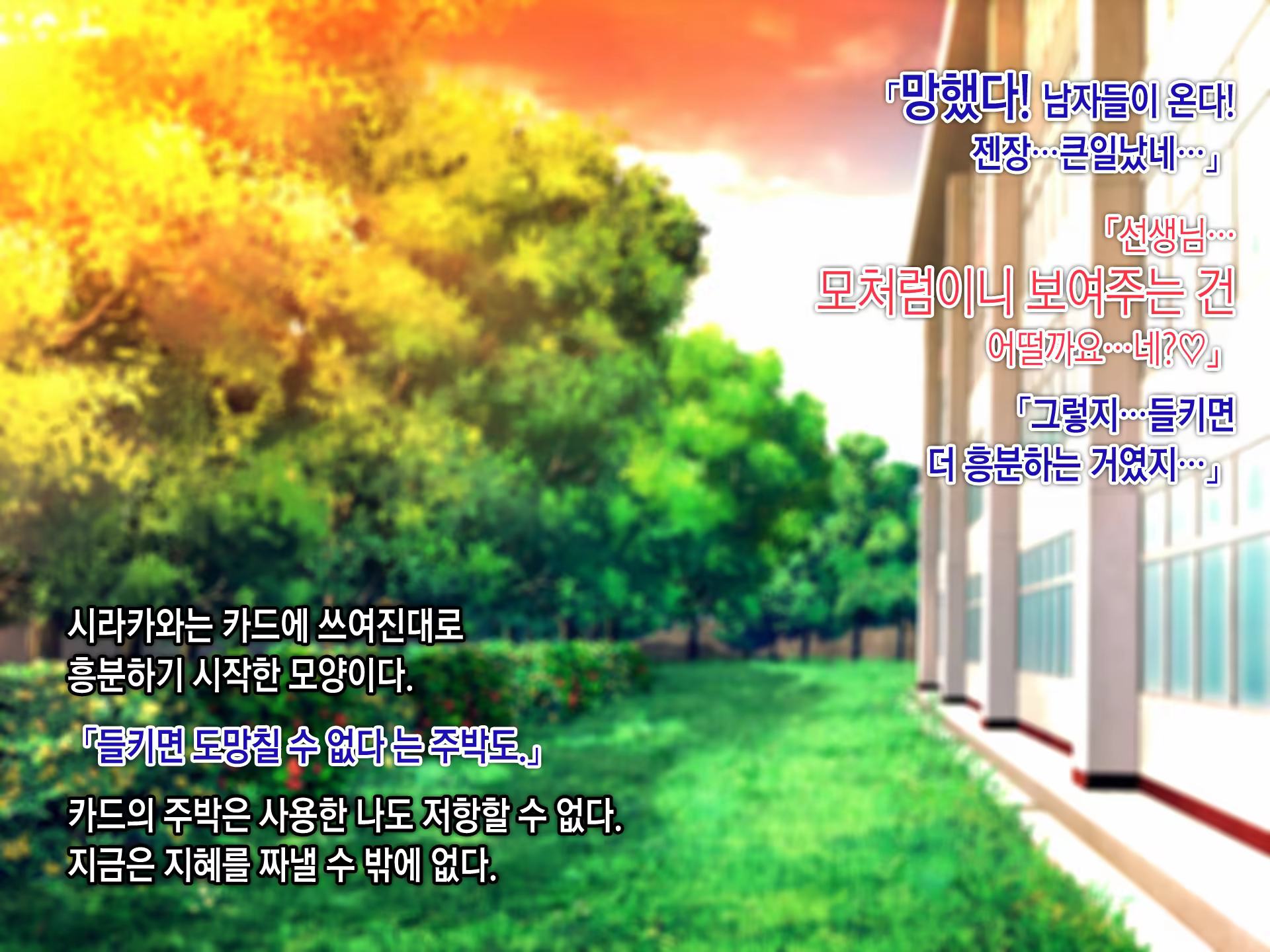 Content 1246031 - 195 페이지
