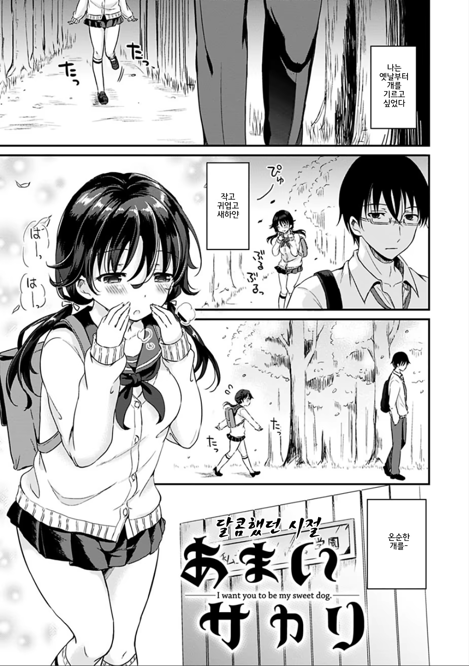 Content 1248325 - 155 페이지
