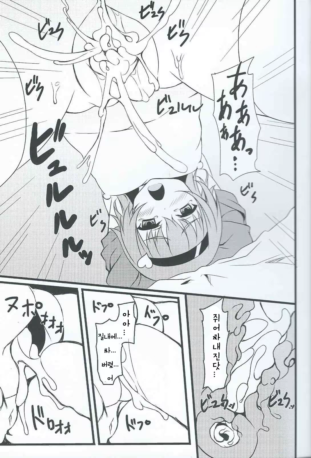 Content 1249774 - 16 페이지