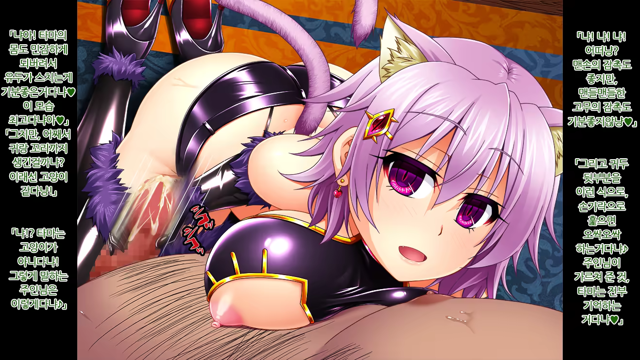 Content 1262348 - 30 페이지