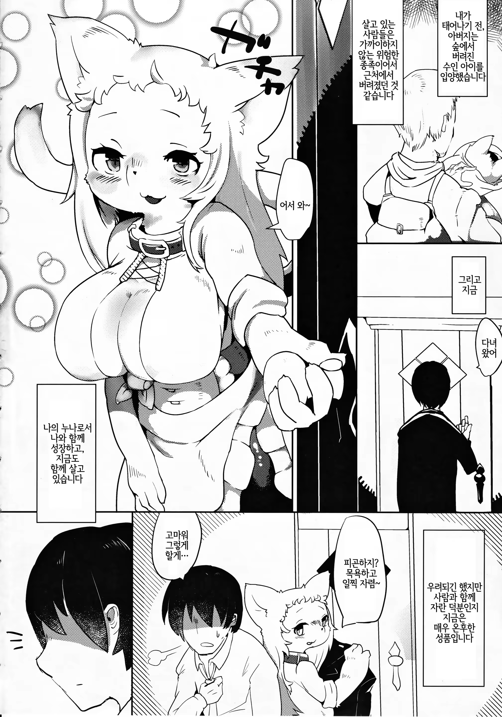 Content 1266266 - 2 페이지