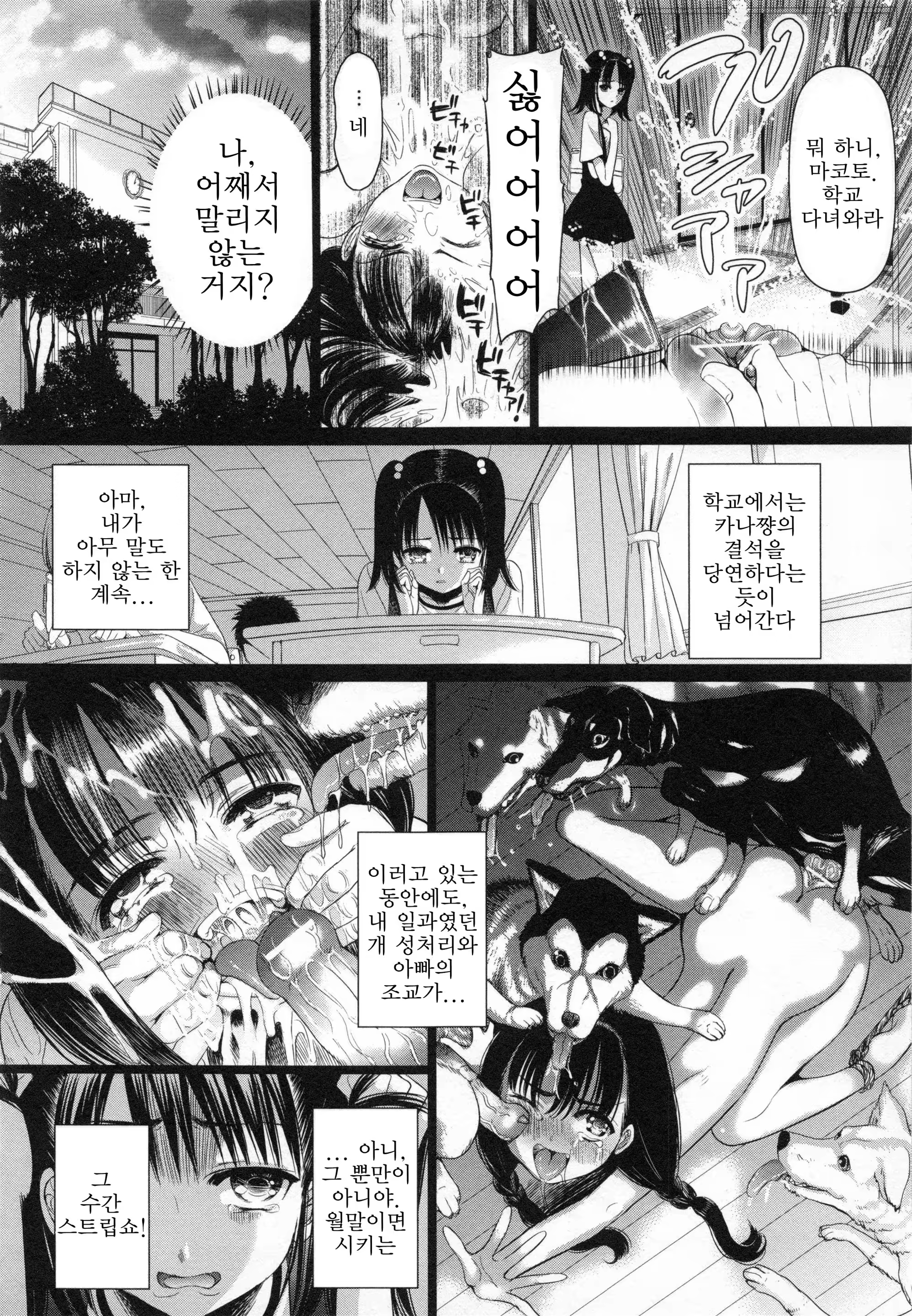 Content 1268504 - 20 페이지