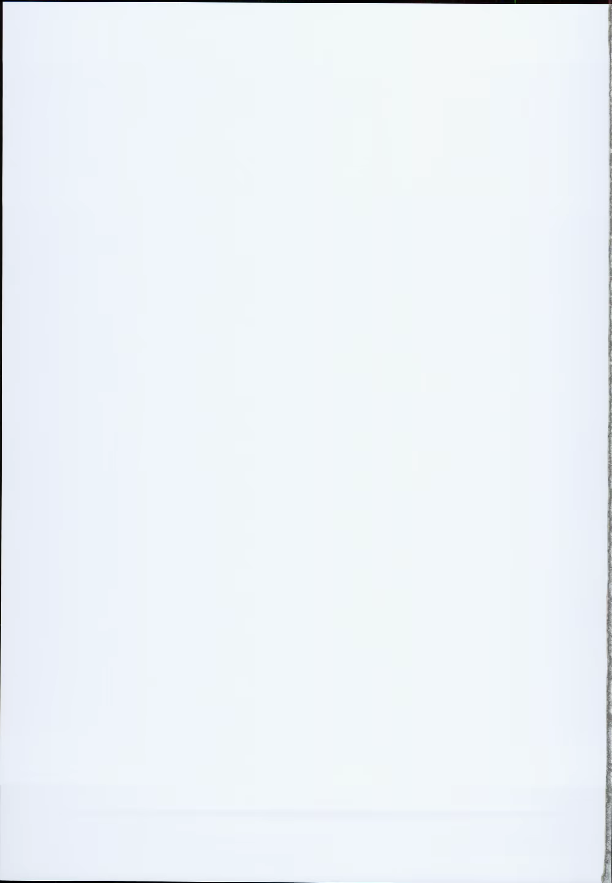 Content 1271246 - 31 페이지
