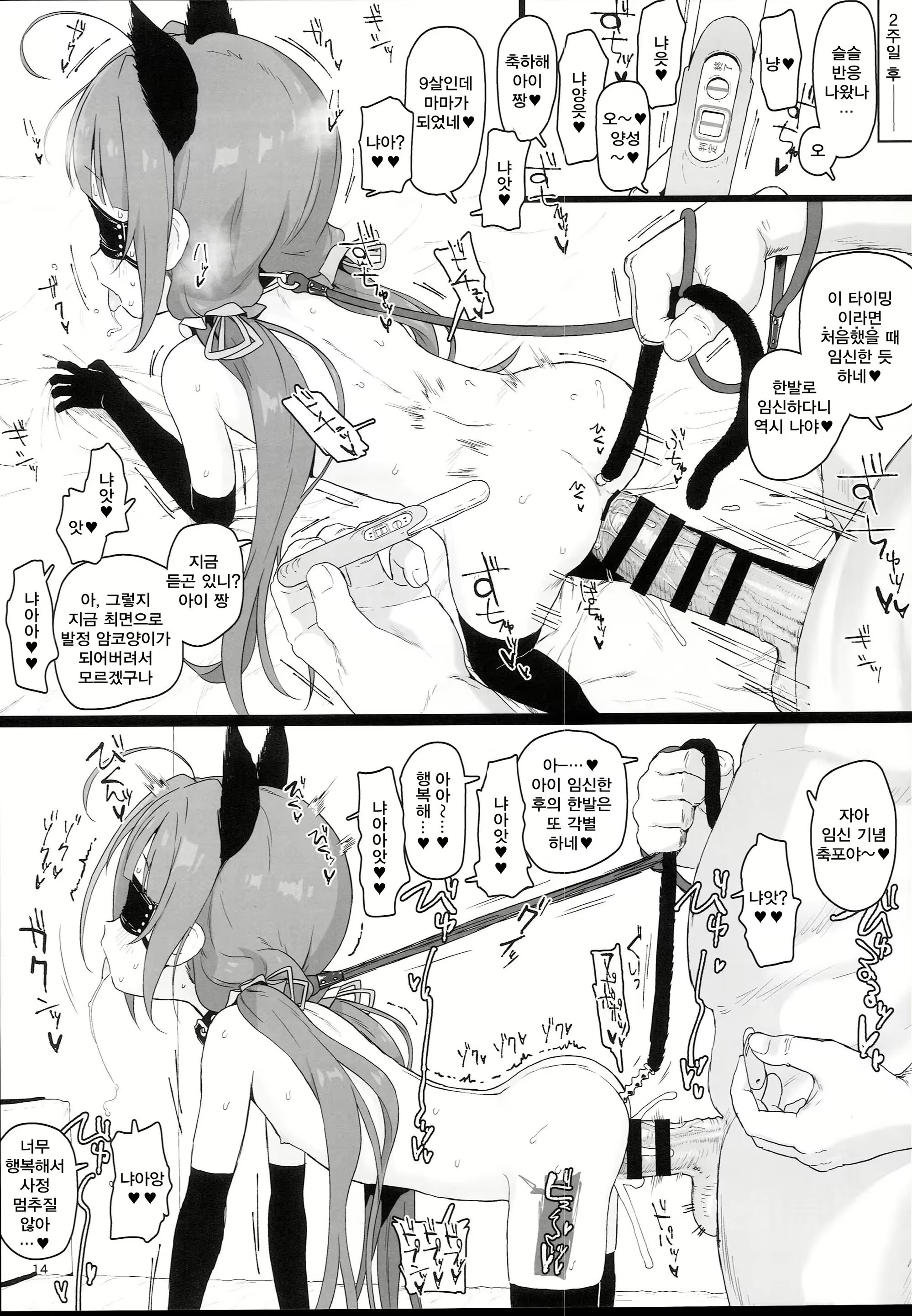 Content 1271281 - 14 페이지