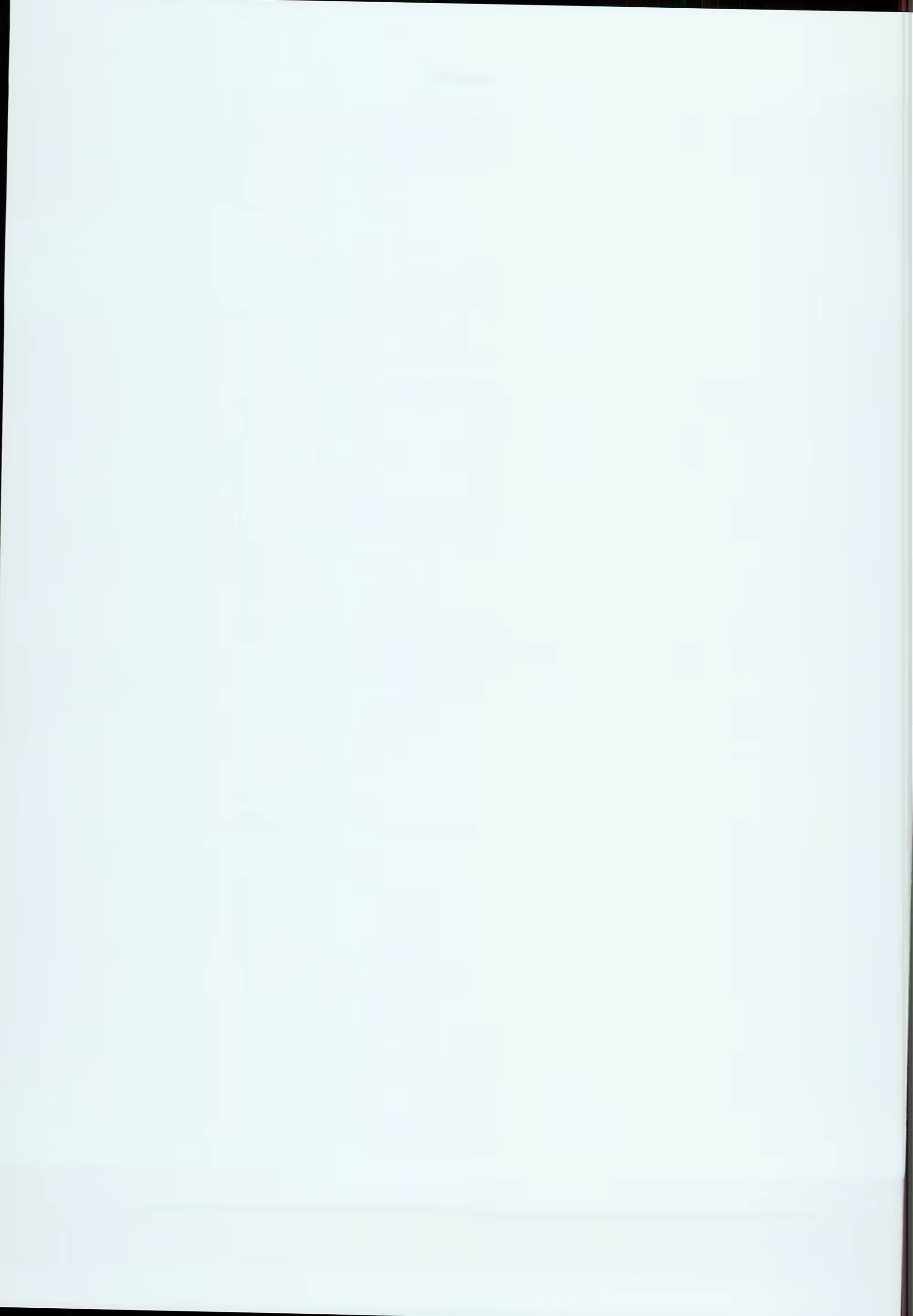Content 1271928 - 41 페이지