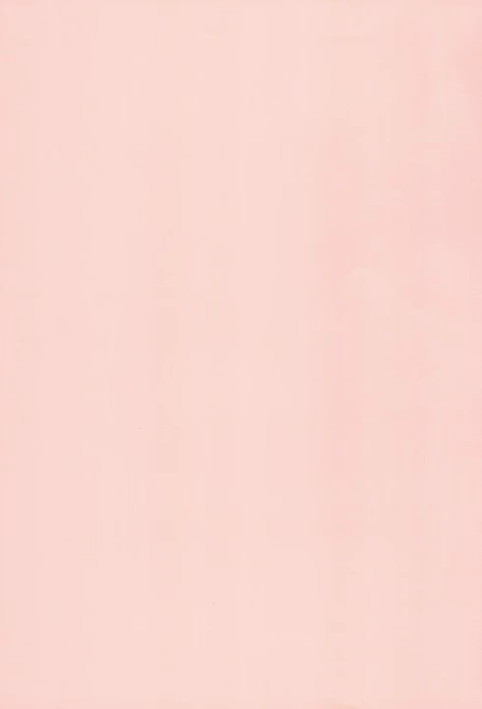 Content 1274854 - 3 페이지