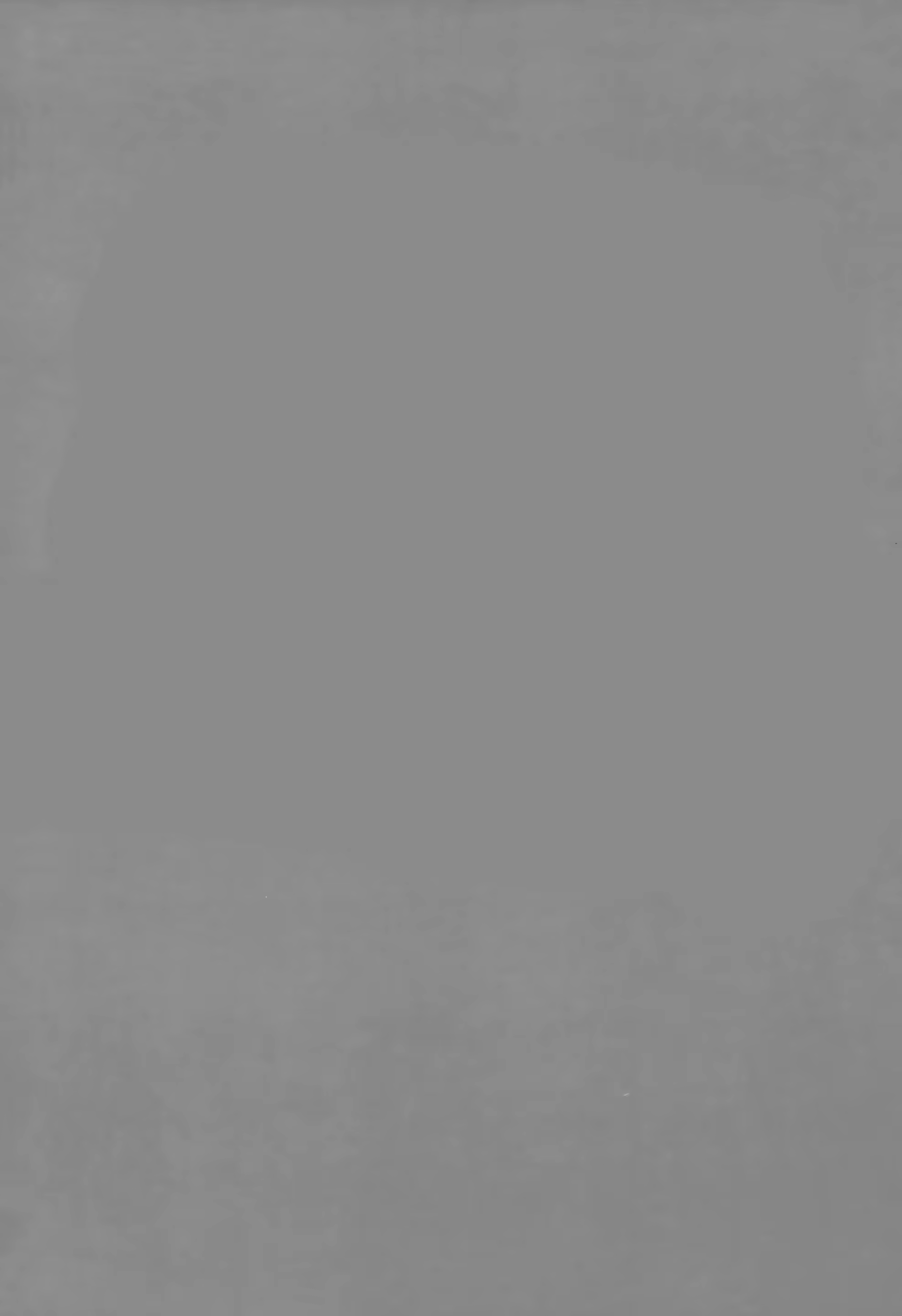 Content 1283891 - 3 페이지