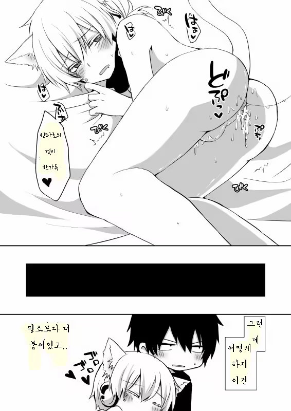 Content 1287949 - 19 페이지
