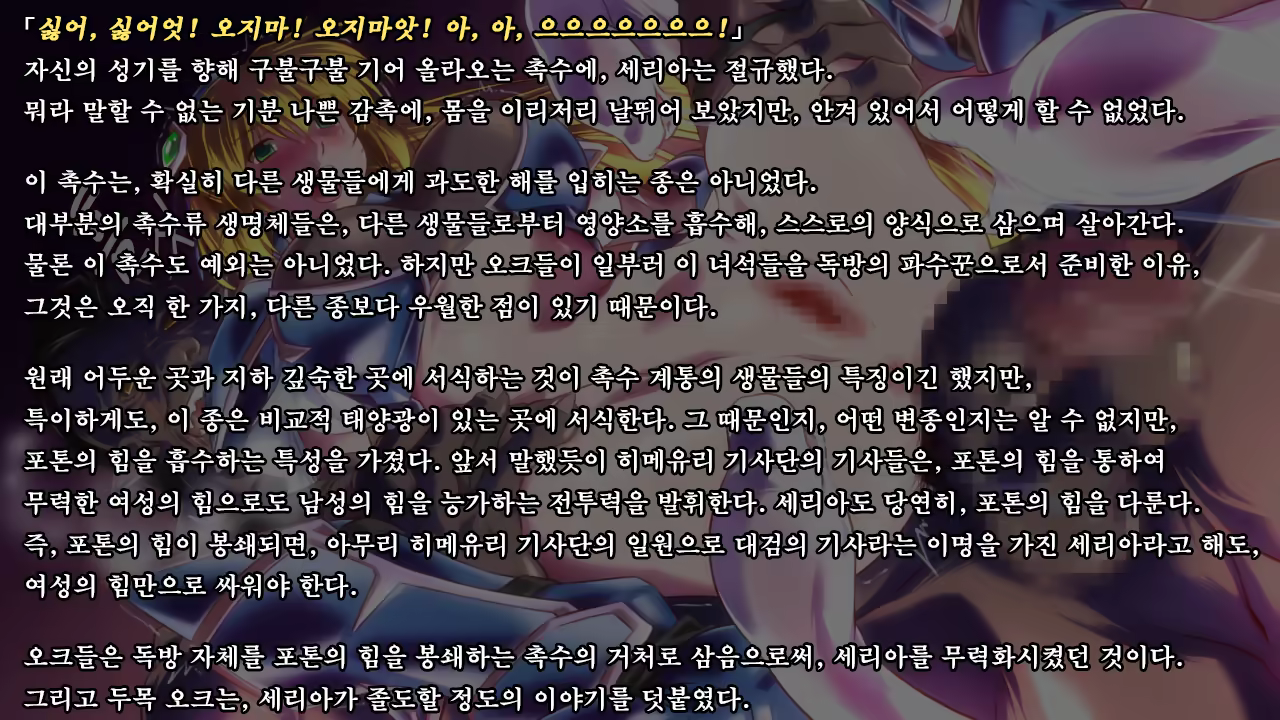 Content 1321843 - 137 페이지