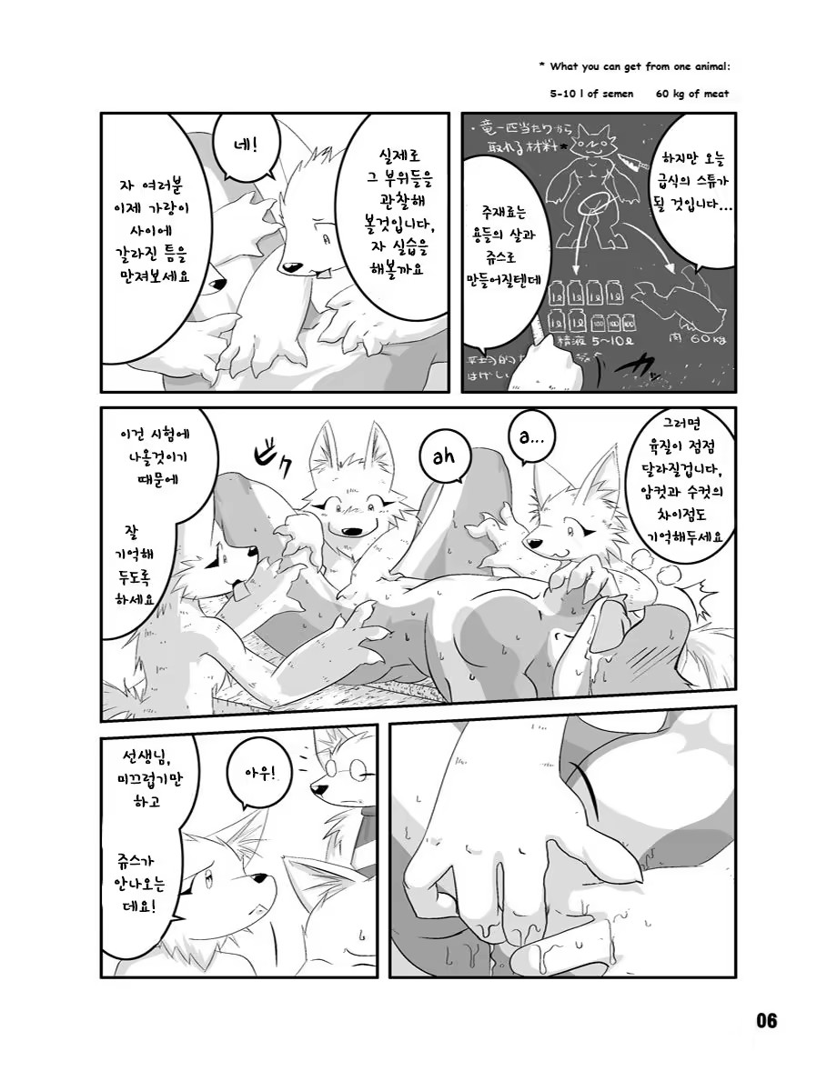 Content 1324108 - 6 페이지
