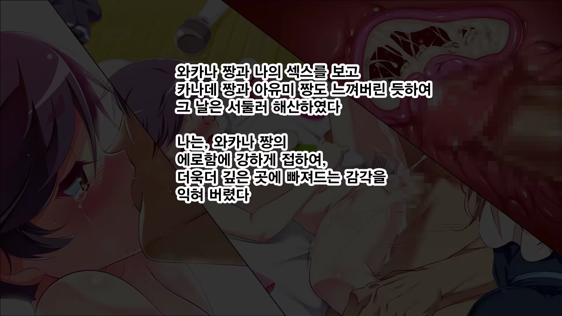 Content 1324639 - 293 페이지