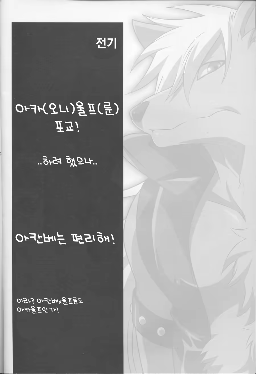 Content 1338205 - 3 페이지