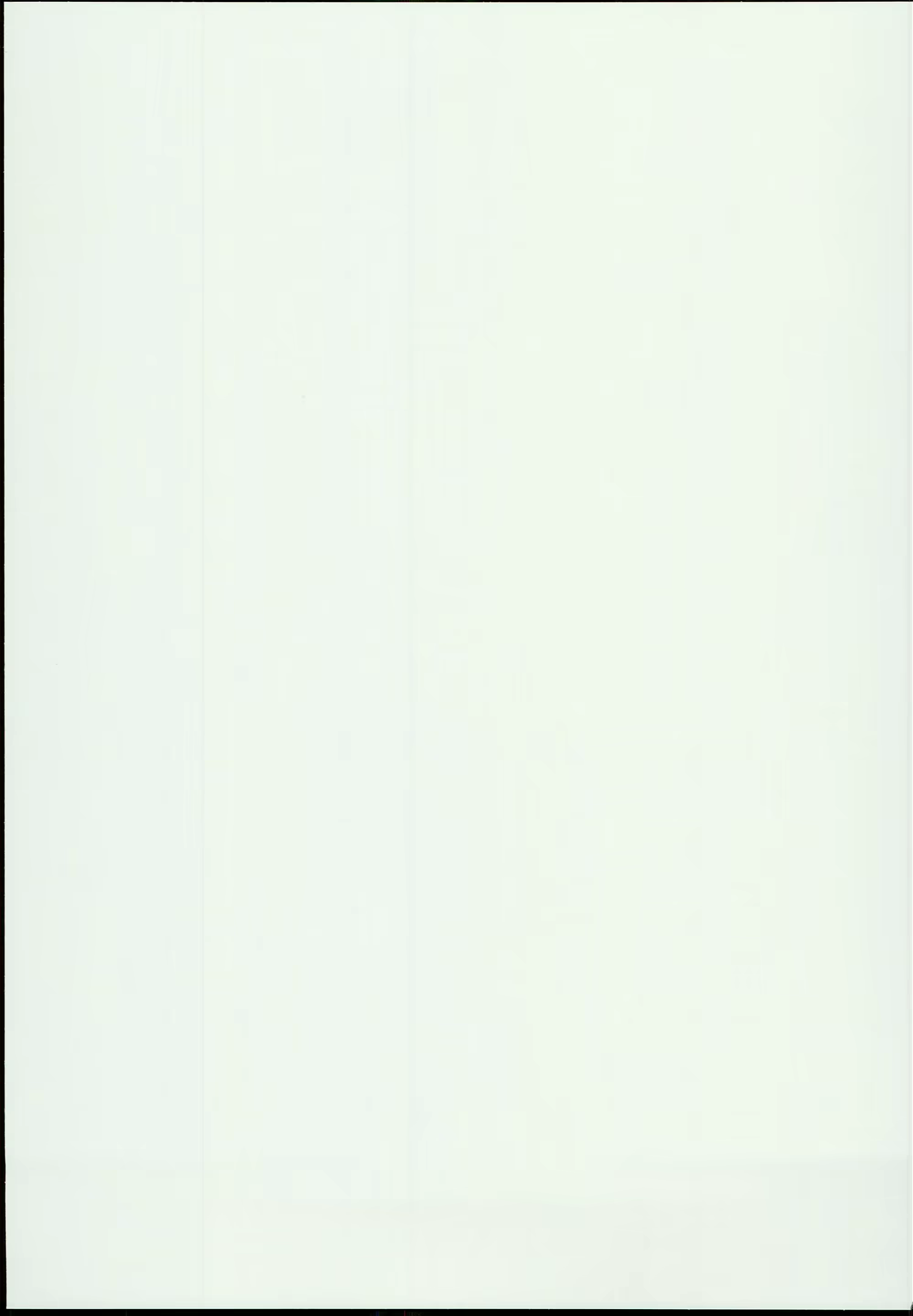Content 1338728 - 19 페이지