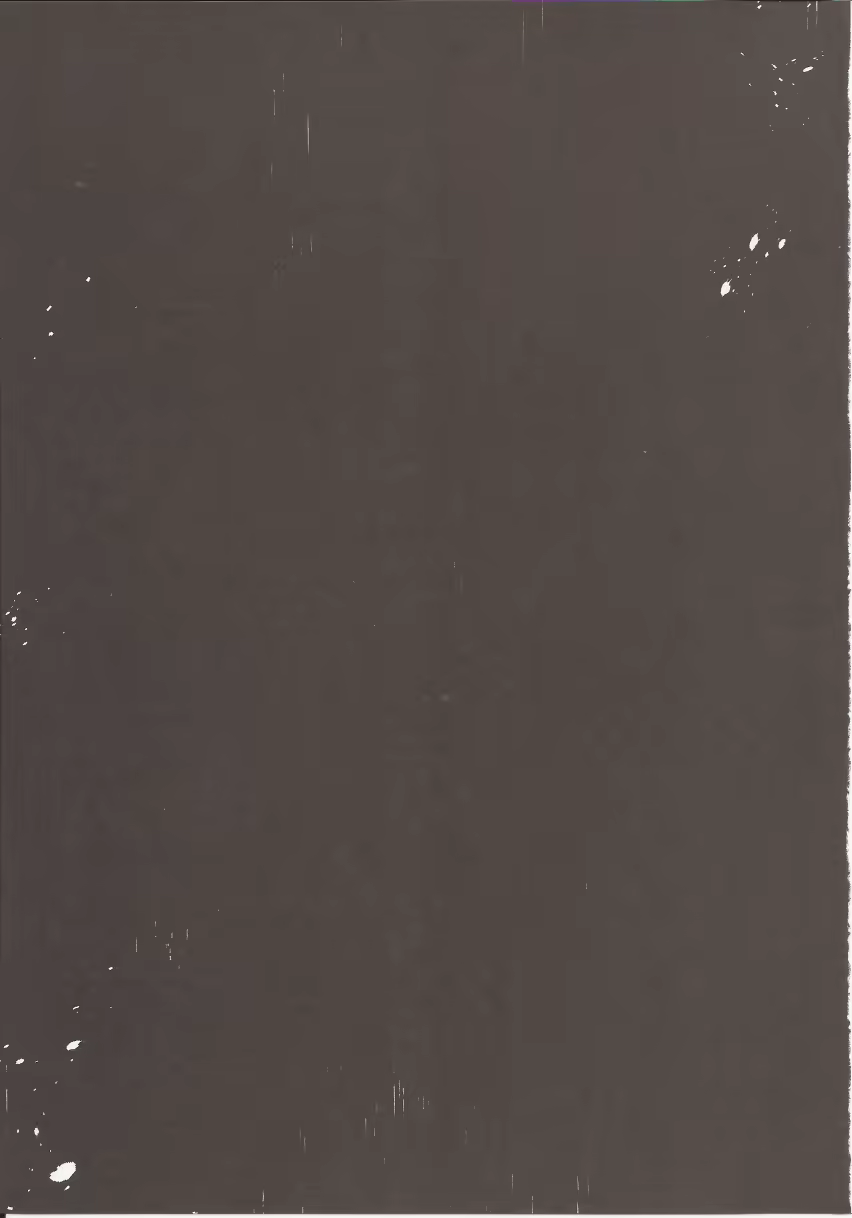 Content 1339913 - 16 페이지